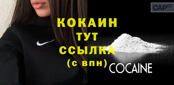 соль ск Липки