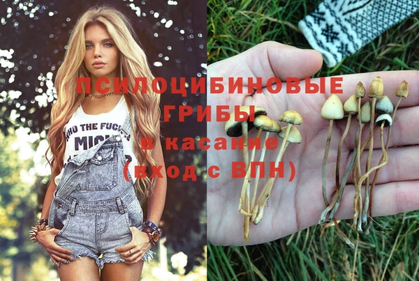 тгк Чердынь