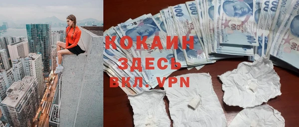 индика Россошь