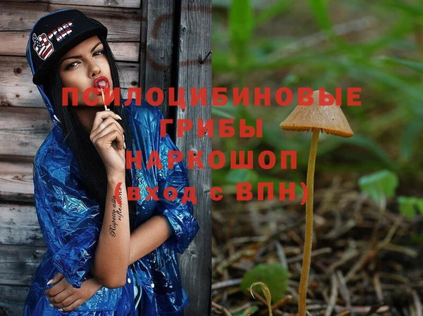 гашик Вуктыл