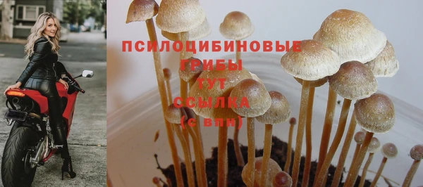 ALPHA PVP Магас